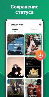 Dual App – Web Scanner App 1.6.3. Скриншот 3