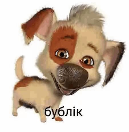 Бублiк🥯🥯🥯🥯🥯🥯🥯🥯