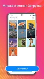 Загрузчик видео – Story Saver 2.8.2. Скриншот 15