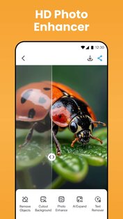 BgMaster 1.3.7. Скриншот 2