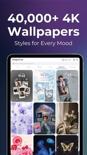 WidgetClub 3.14.28. Скриншот 14
