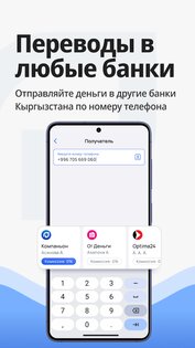 Компаньон 3.3.8. Скриншот 7