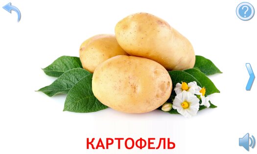 Овощи и Фрукты для детей 9.6.4. Скриншот 4