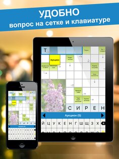 Сканворды 2.23.7. Скриншот 15