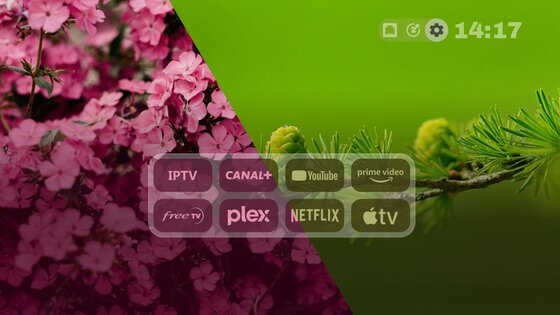 Projectivy Launcher 4.72. Скриншот 7