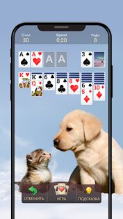 Пасьянс – классическая игра 2.9.0. Скриншот 3