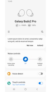 Galaxy Buds2 Pro 8.5.26070351. Скриншот 1