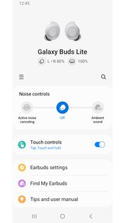 Galaxy Buds FE Manager 8.5.26070351. Скриншот 2