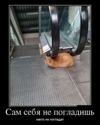 __TCAPT__