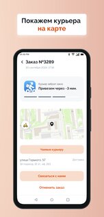 Ninja Pizza 1.66.30. Скриншот 2