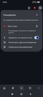 Bare Browser 1.0.0-alpha.3. Скриншот 2