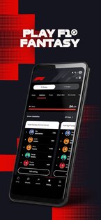 Formula 1 13.24.0. Скриншот 6