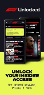 Formula 1 13.24.0. Скриншот 8