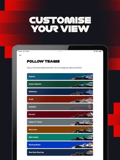 Formula 1 13.24.0. Скриншот 18