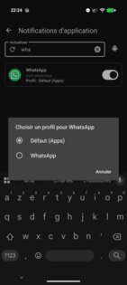 Flash Alert (Calls & SMS) 2.9.1. Скриншот 8