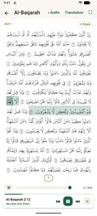 Mihrab 2.18.5. Скриншот 4