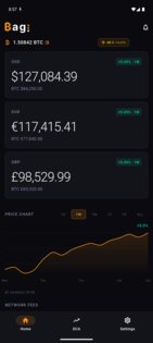 Bag 1.3.4. Скриншот 2