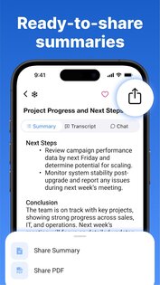 Summary AI 2.18.9. Скриншот 5