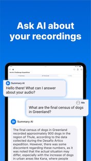 Summary AI 2.18.9. Скриншот 11