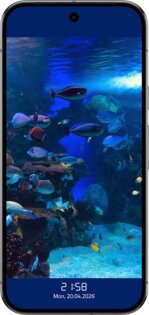 Video Screensaver 1.3.1. Скриншот 2