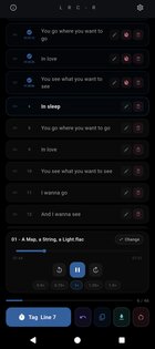 Lrc-R 0.3.4. Скриншот 2