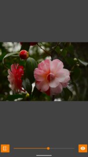 VES – Image and Photo Compare 2.3.6. Скриншот 23