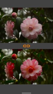 VES – Image and Photo Compare 2.3.6. Скриншот 31