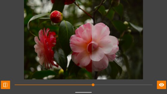 VES – Image and Photo Compare 2.3.6. Скриншот 35