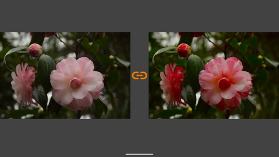 VES – Image and Photo Compare 2.3.6. Скриншот 36
