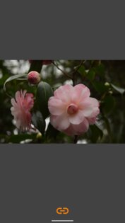 VES – Image and Photo Compare 2.3.6. Скриншот 2