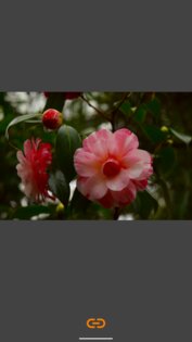 VES – Image and Photo Compare 2.3.6. Скриншот 3