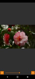 VES – Image and Photo Compare 2.3.6. Скриншот 7