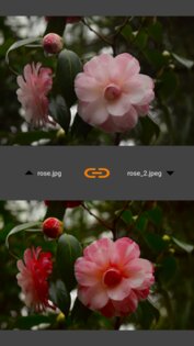VES – Image and Photo Compare 2.3.6. Скриншот 8
