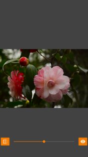 VES – Image and Photo Compare 2.3.6. Скриншот 10