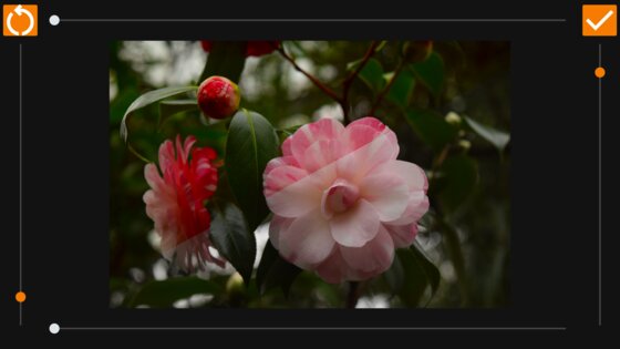 VES – Image and Photo Compare 2.3.6. Скриншот 15