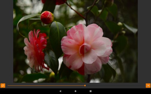 VES – Image and Photo Compare 2.3.6. Скриншот 17