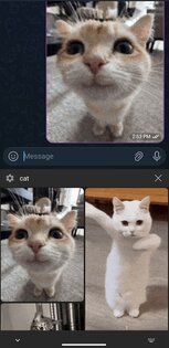 GifBoard 1.0.4. Скриншот 1