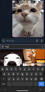 GifBoard 1.0.4. Скриншот 2