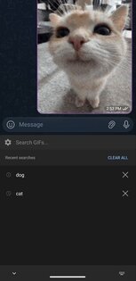 GifBoard 1.0.4. Скриншот 3