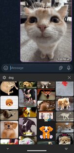 GifBoard 1.0.4. Скриншот 4