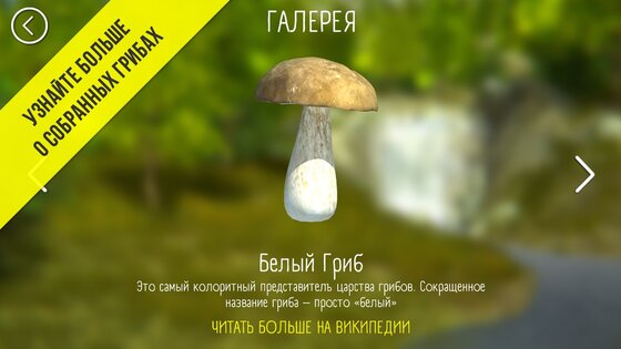 Реальный Грибник – Тихая охота 1.97. Скриншот 10