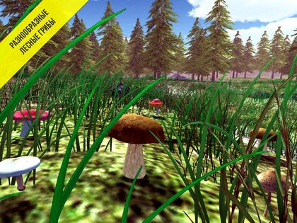 Реальный Грибник – Тихая охота 1.97. Скриншот 12