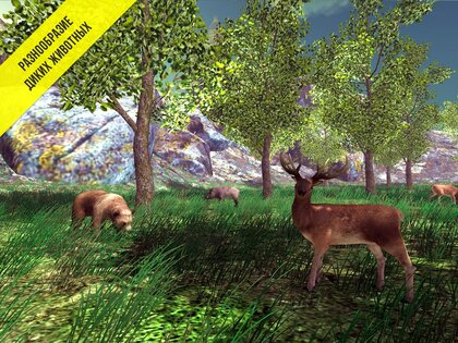 Реальный Грибник – Тихая охота 1.97. Скриншот 13