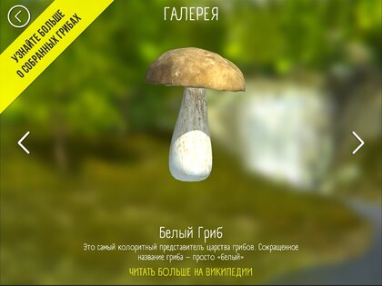 Реальный Грибник – Тихая охота 1.97. Скриншот 15