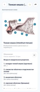 Нормальная анатомия человека 3.2. Скриншот 4