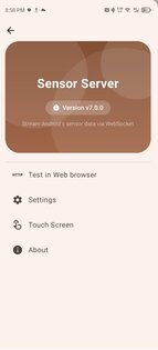 SensorServer 7.2.1. Скриншот 2