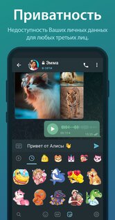 Telegram 12.10.3. Скриншот 4