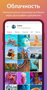 Telegram 12.10.3. Скриншот 6