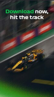 Racify – Beautiful F1 widgets 1.8.8. Скриншот 16