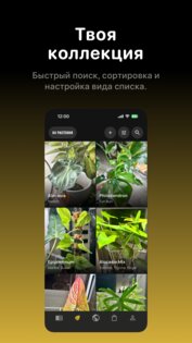Кукулата: соцсеть о растениях 3.0.0. Скриншот 4
